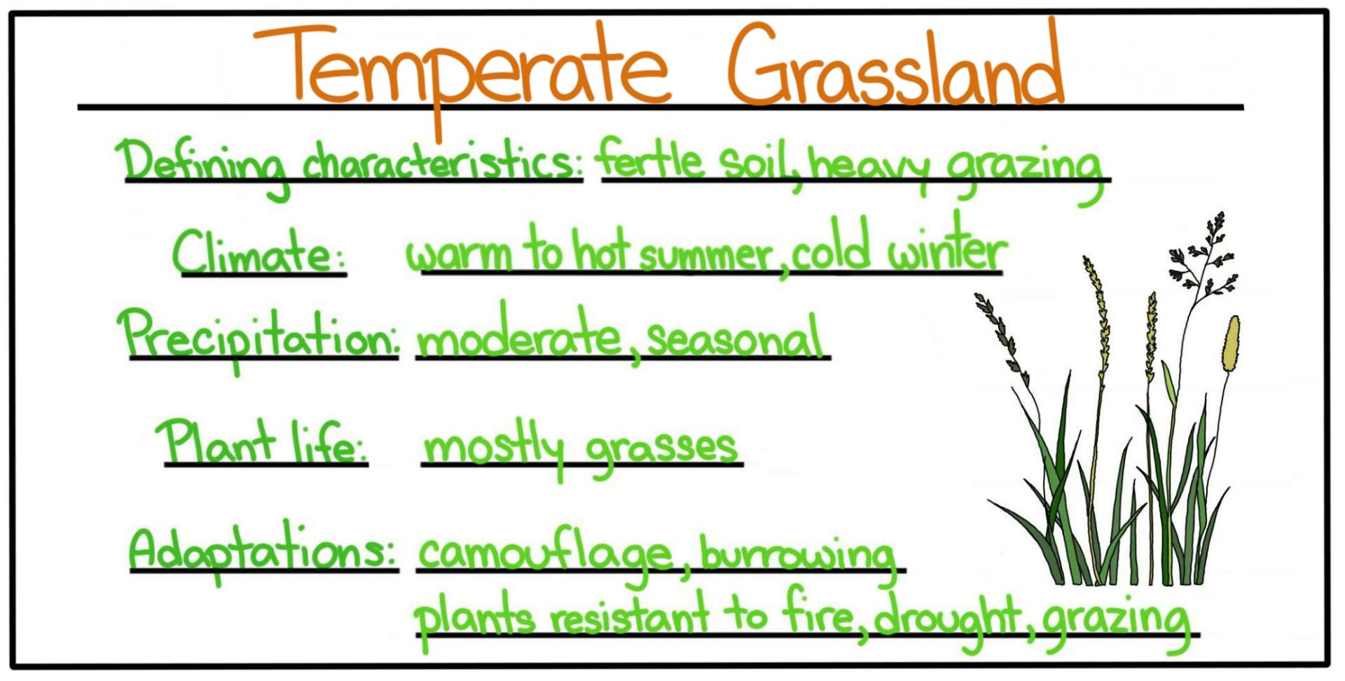 Biomes Temperate Expii