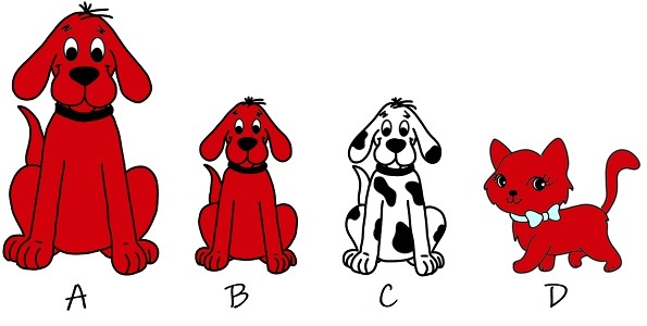 A shows a large red dog. B shows a small red dog. C shows a small white dog with black patches. D shows a red cat.