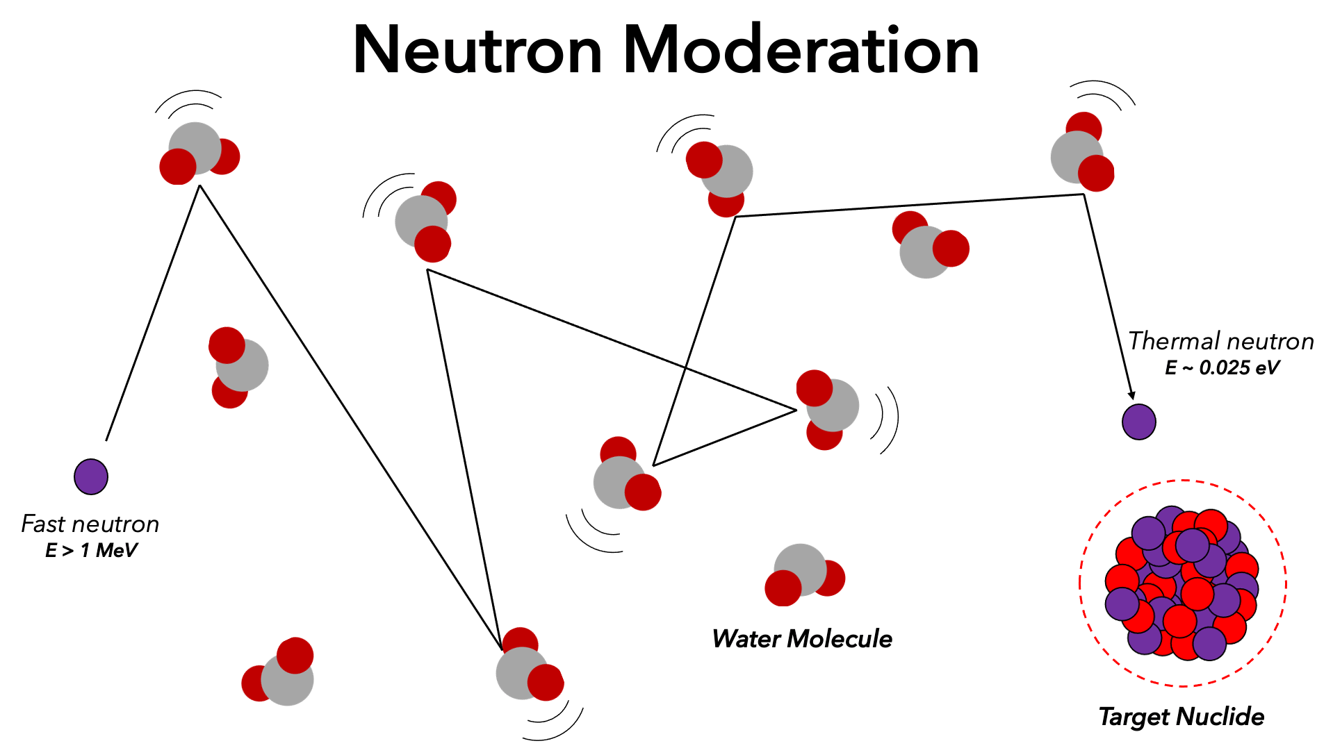 neutron bouncing during moderation
