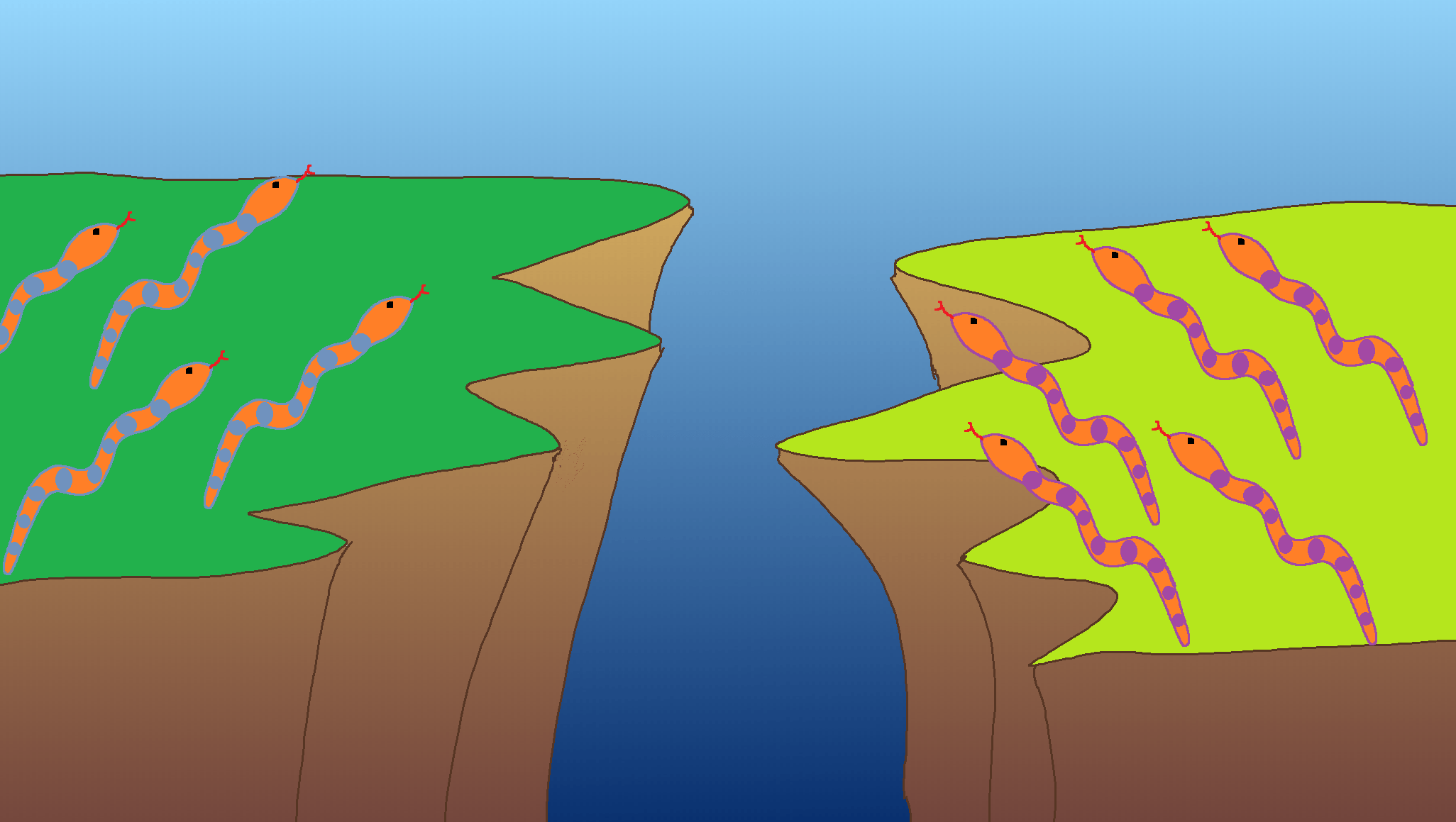 The picture shows two groups of snakes separated by a canyon. The snakes on the left have blue spots, while the ones on the right have purple spots.