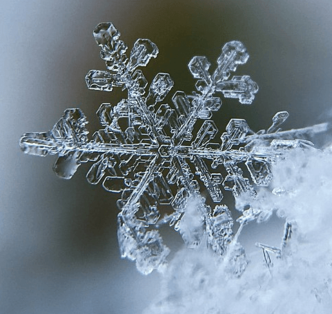 Close-up photograph of a snowflake