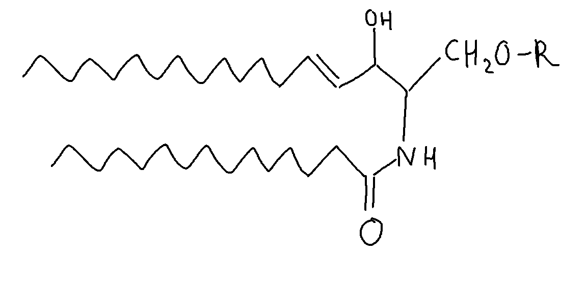 The image shows the generic structure of a sphingolipid. A long carbon chain is double bonded, then single bonded to a carbon-alcohol group, then a carbon-oxygen-R group chain, then a nitrogen, then a double bonded oxygen, and then another long carbon chain.