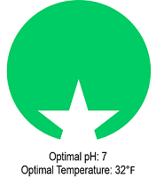 A picture of an enzyme with optimal pH of 7 and an optimal temperature of 32 degrees Fahrenheit.