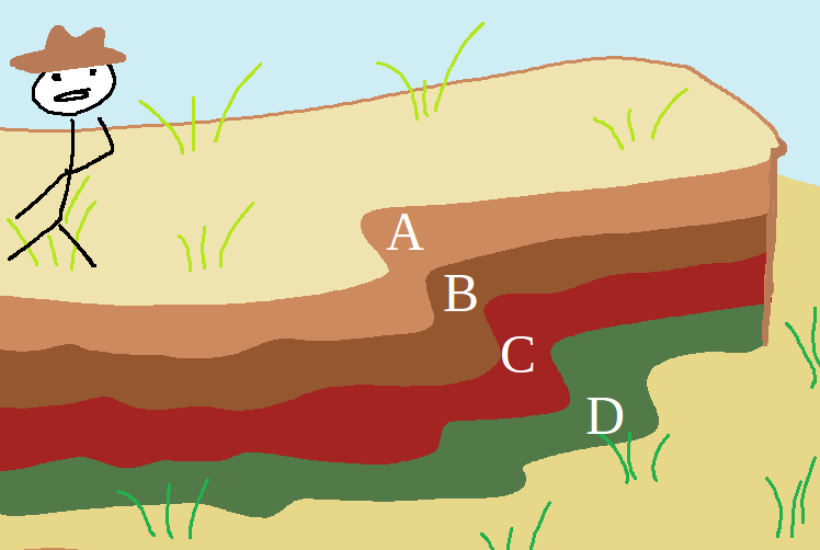 The image displays a paleontologist at the top of the cliff. On the cliff side are layers of rock. Layer A is light brown. Layer B is dark brown. Layer C is red. Layer D is green. Layer A is the highest, and layer D is the lowest.