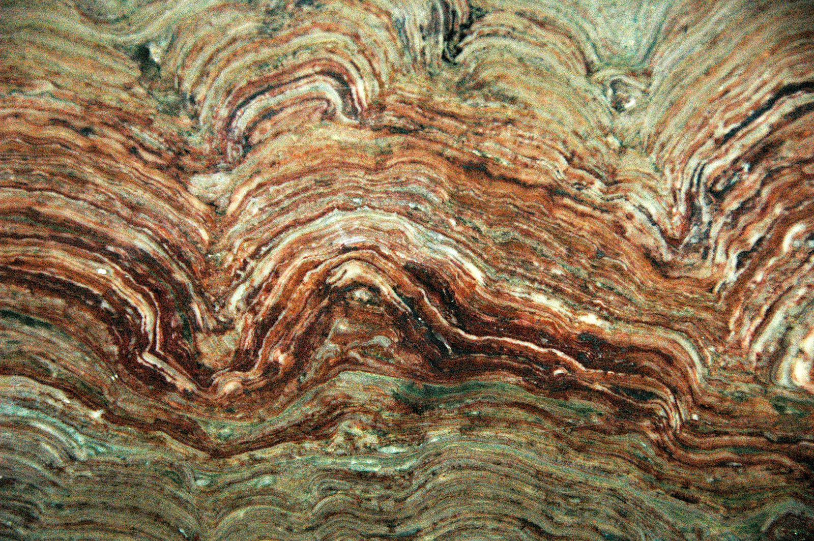 The image displays a stromatolite with many thin layers of orange, red, brown, and green.
