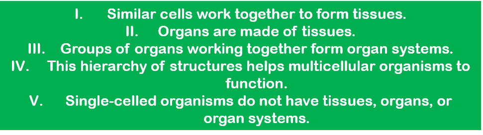 I. Similar cells work together to form tissues.
II. Organs are made of tissues.
III. Groups of organs working together form organ systems.
IV. This hierarchy of structures helps multicellular organisms to function.
V. Single-celled organisms do not have tissues, organs, or organ systems.