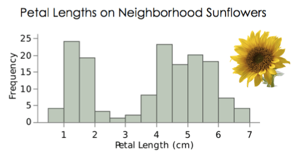 A histogram of Petal Lengths on Neighborhood Sunflowers. The x-axis is Petal Length (cm) with bins 0-1, 1-2, 2-3, 3-4, 4-5, 5-6, 6-7 and the y-axis is Frequency with frequencies increasing by 5s