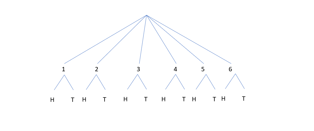 Tree diagram with initial branches of 1,2,3,4,5,6, with branches of H and T underneath