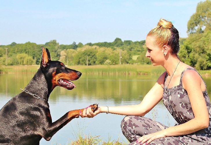 Woman and dog shaking hands.