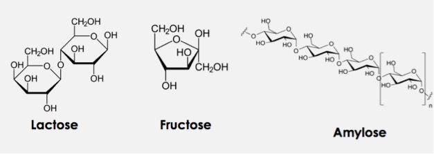 Lacose, fructose, and amylose are pictured. 