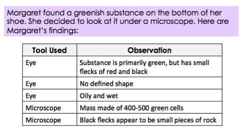 Margaret found a greenish substance on the bottom of her shoe.  She decided to look at it under a microscope.  Here are her findings.  With her eye, she noted that the substance is primarily green but has small flecks of red and black.  It has no defined shape and is oily and wet.  With her microscope, she observes that it is a mass made of 400-500 green cells.  The black flecks appear to be small pieces of rock. 