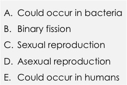 A. Could occur in bacteria. B. binary fission. C. Sexual reproduction. D. Asexual reproduction. E. Could occur in humans.