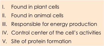 I. Found in plant cells.
II. Found in animal cells.
III. Responsible for energy production.
IV. Control center of the cell's activities.
V. Site of protein formation.