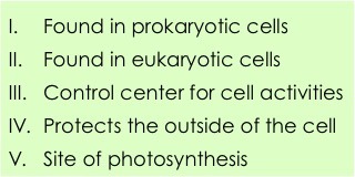 I. Found in prokaryotic cells.
II. Found in eukaryotic cells.
III. Control center for cell activities.
IV. Protects the outside of the cell.
V. Site of photosynthesis.