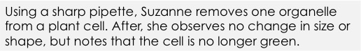 Using a sharp pipette, Suzanne removes one organelle from a plant cell.  After, she observes no change in size of shape, but notes that the cell is no longer green. 