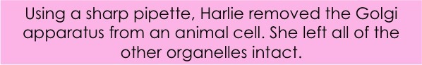 Using a sharp pipette, Harlie removed the Golgi apparatus from an animal cell. She left all of the other organelles intact.