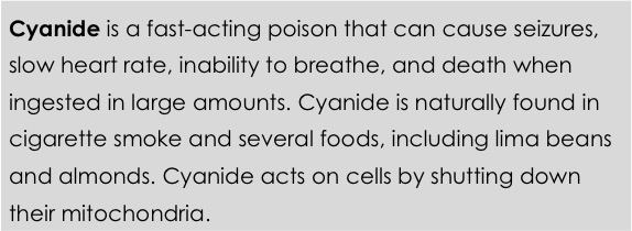Cyanide is a fast-acting poison that can cause seizures, slow heart rate, inability to breathe, and death when ingested in large amounts. Cyanide is naturally found in cigarette smoke and several foods, including lima beans and almonds.  Cyanide acts on cells by shutting down their mitochondria. 
