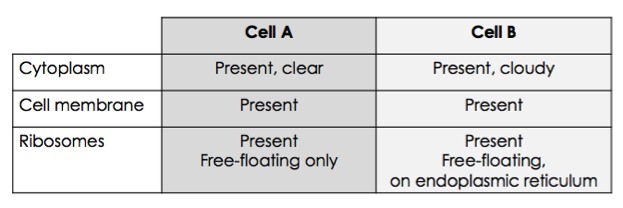 Cell A has a clear cytoplasm and a cell membrane. It has free-floating ribosomes. Cell B has a cloudy cytoplasm and a cell membrane. It has present, free-floating ribosomes and some on it's endoplasmic reticulum.