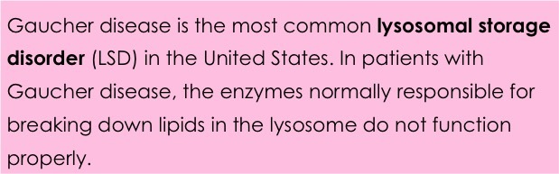 Gaucher disease is the most common lysosomal storage disorder (LSD) in the United States.  In patients with Gaucher disease, the enzymes normally responsible for breaking down lipids in the lysosome do not function properly. 