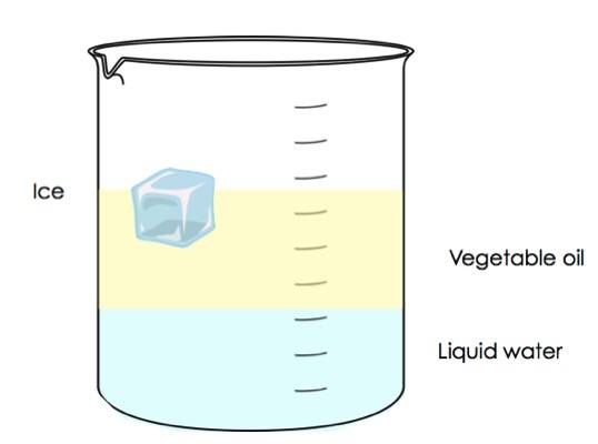 A beaker contains vegetable oil floating on water, An ice cube is floating at the top of the vegetable oil. 