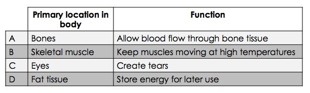 The primary location in the body and function of different substances are listed. A is found in bones and allows blood flow through bone tissue. B is found in skeletal muscle and keeps muscles moving at high temperatures. C is found in eyes and create tears. D is found in fat tissue and stores energy for later use.