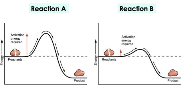 Reaction A has a large activation energy while reaction B only has a small bump.