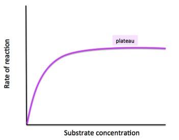 Rate of reaction vs substrate concentration. The plot increases to a maximum, then plateaus.