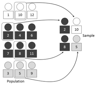 A group of 12 people numbered 1 through 12 first stratified into 3 groups: 1, 10, 12; 2, 4, 6, 7, 8, 11; and 3, 5, 9. In this case it is split because each person in these groups has a matching color. These groups, or strata, are then selected. Here our sample is people number 2, 10, 8, and 5.