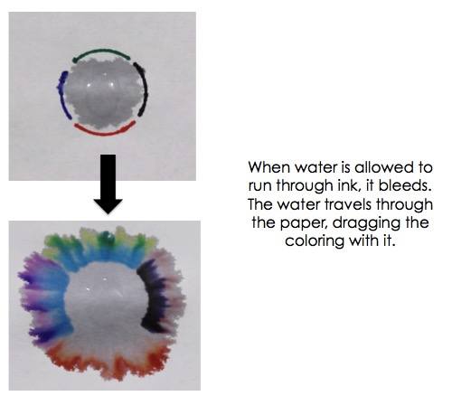 When water is allowed to run through ink, it bleeds. The water travels through the paper, dragging the coloring with it.