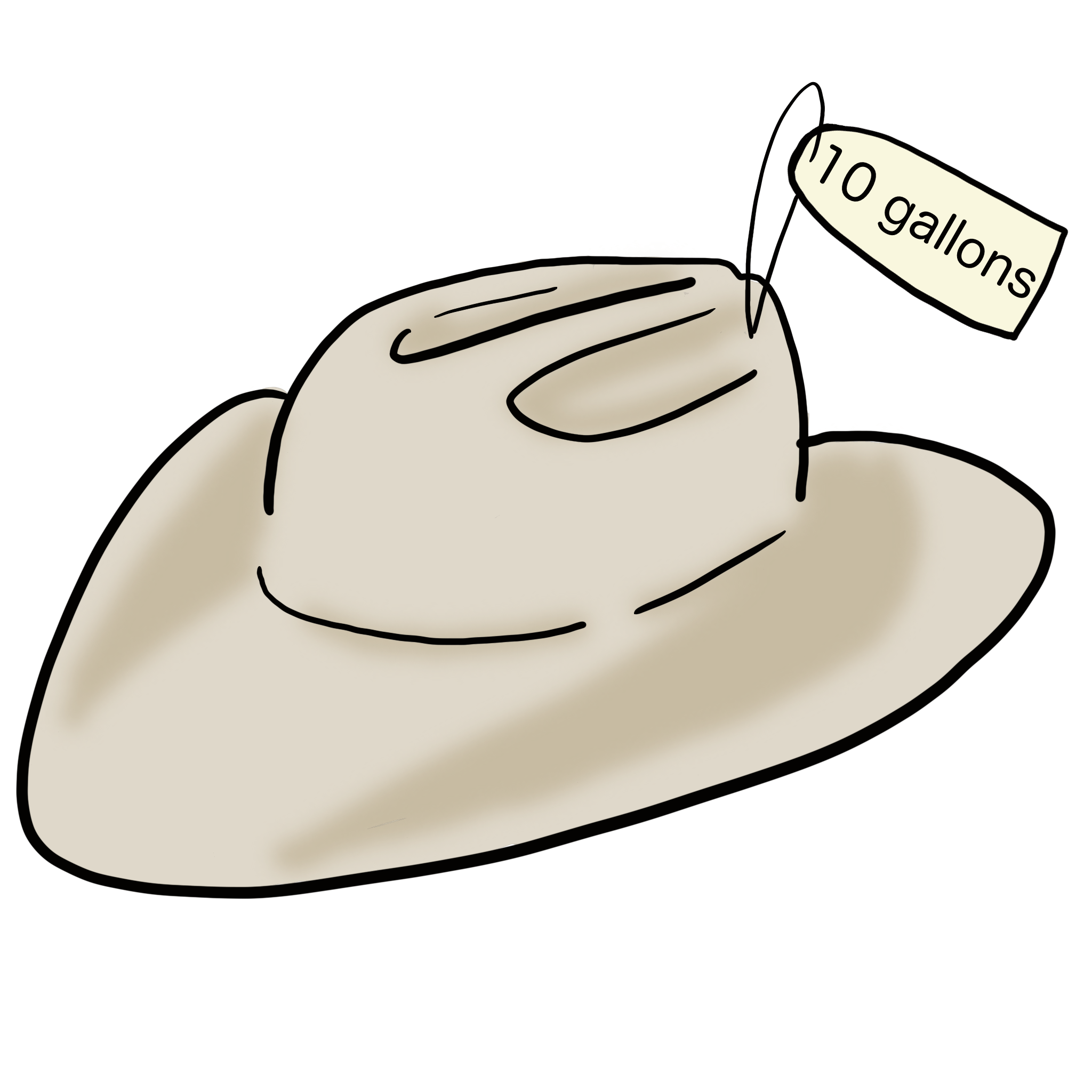 A very fashionable cowboy hat.