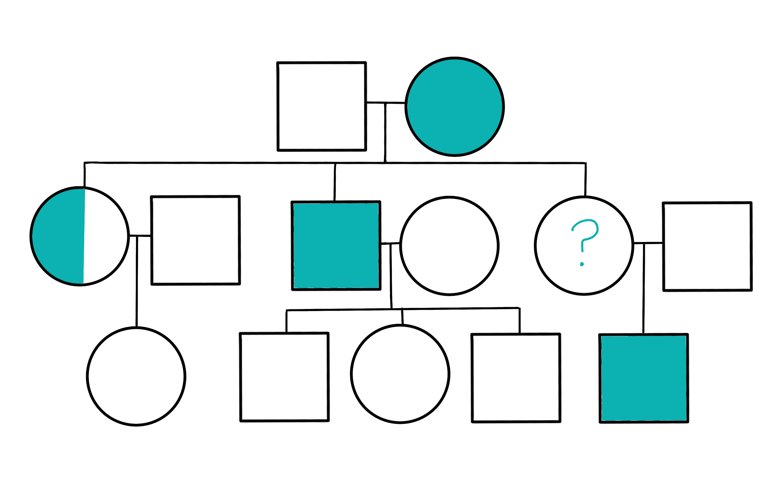 This image is showing a pedigree chart. The mother is affected and the father is unaffected. They have three children: A carrier daughter, an affected son, and a third daughter with an unknown phenotype. The unknown daughter has one son, who is affected. All of the other children's children and all of the children's spouses are unaffected and are not carriers.