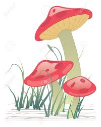 Three Mushrooms