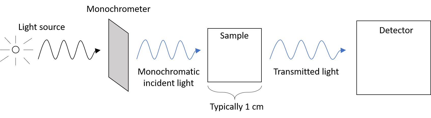 Light first passes through a monochrometer, then the sample, then finally enters the detector.