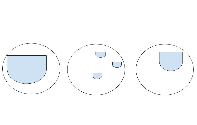 Diagram of two cells with vacuoles shown in blue. Left cell has one large vacuole, center cell has three small vacuoles, and right has one medium-sized vacuole..