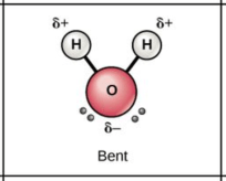 Water molecules are bent.