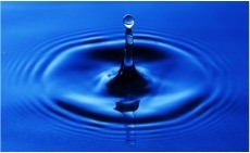 Water is the most important solvent in biology.