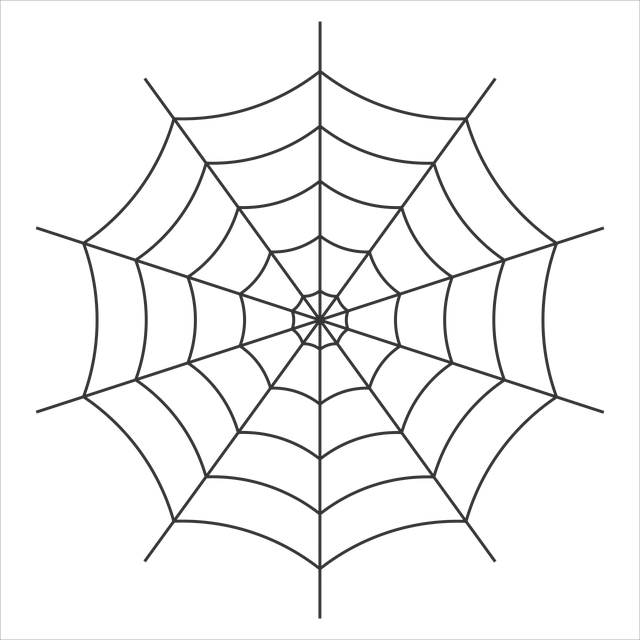 A spider web split into 10 symmetric sections