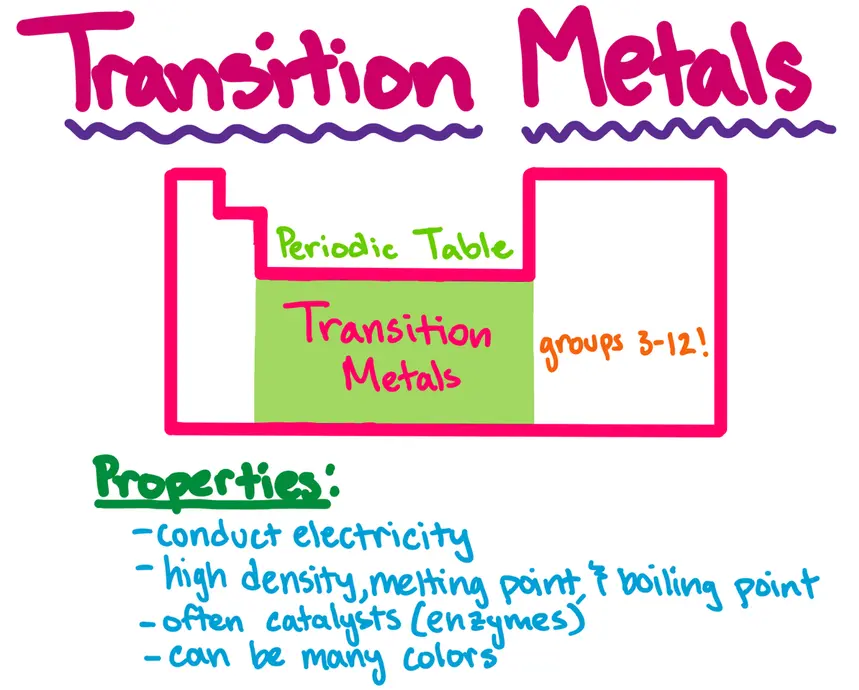 Transition Metals
sketch of the periodic table with middle section labeled as the transition metals. groups 3-12 labeled.
Properties:
- conduct electricity
- high density, melting point, and boiling point
- often catalysts (enzymes)
- can be many colors