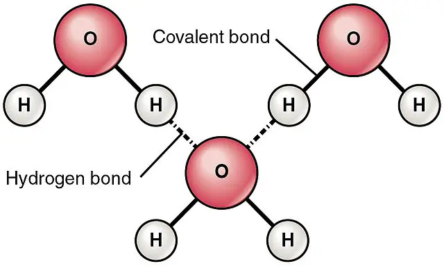 Hydrogen bonding between water molecules