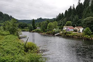 A river surrounded by grasses, shrubs, and trees. There are three houses alongside it.