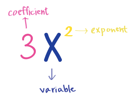 3x^2
3 is the coefficient
x is the variable
^2 is the exponent