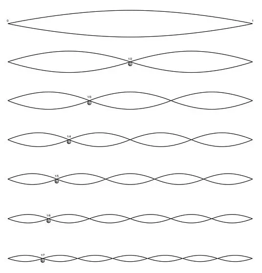 A picture showing the many different divisions of a string, and how the divisions affect the different vibrations and pitch
