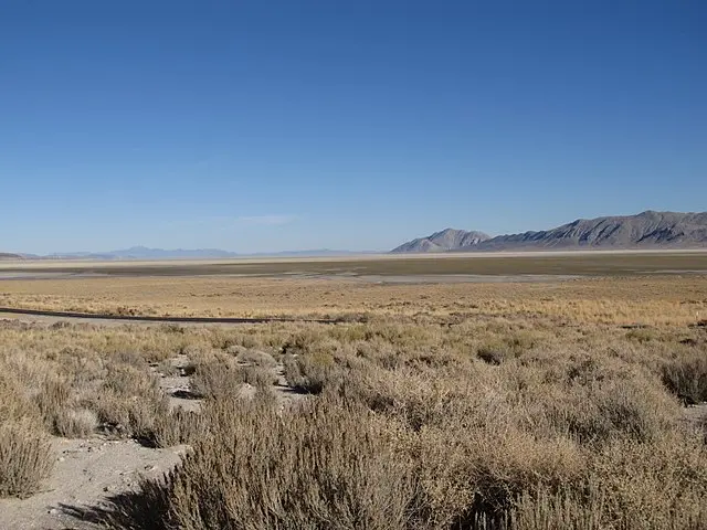 A semiarid desert with some small shrubs