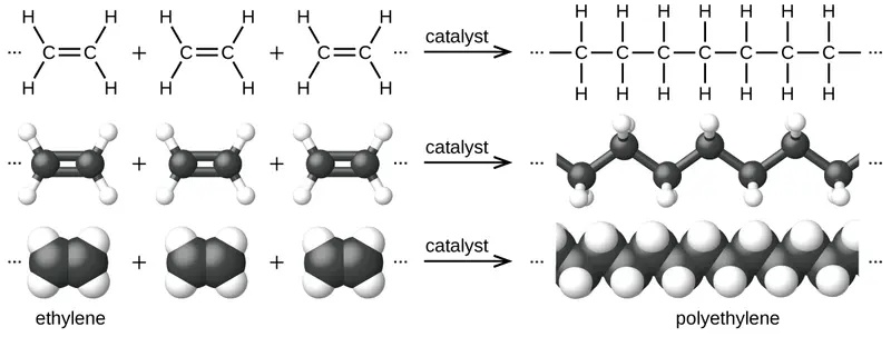 Many ethylene monomers are polymerized into a long chain. A ball-and-stick and 3D model are shown.