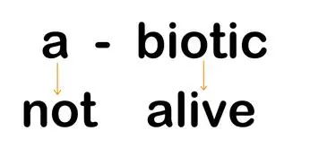 The word abiotic is written. Two arrows are pointing down beneath the word. The prefix "a" points to "not", while "biotic" points to "alive". So, abiotic means not alive.