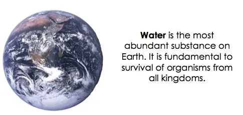 Water is the most abundant substance on Earth. It is fundamental to survival of organisms from all kingdoms.