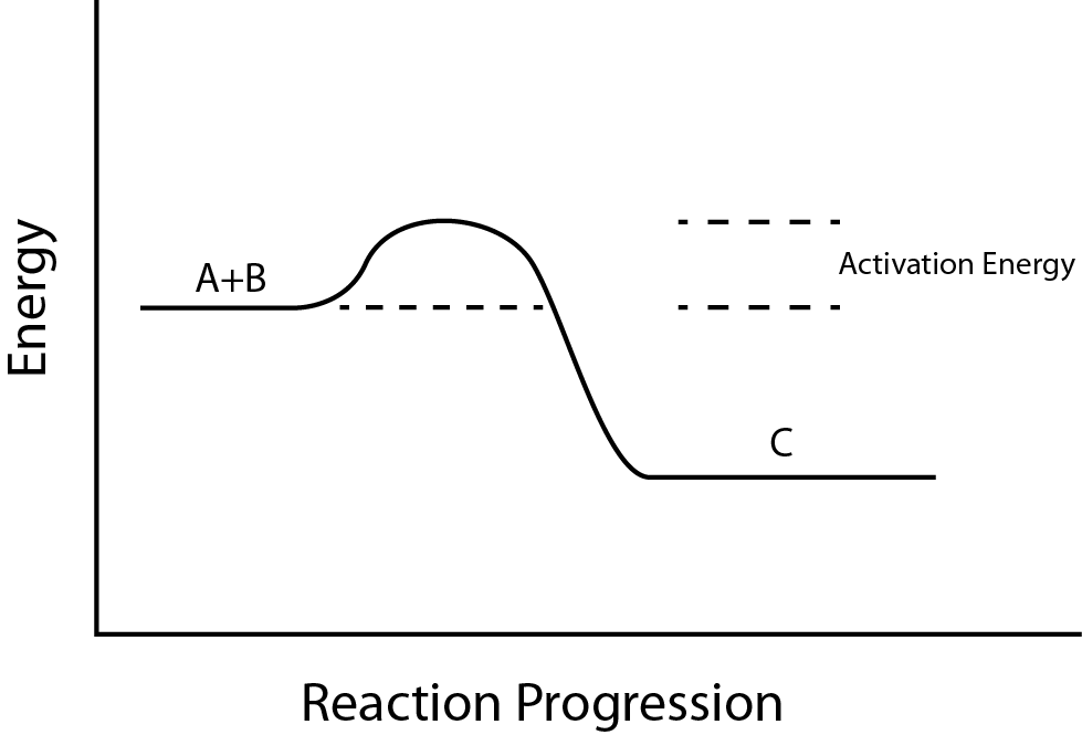 A graph showing the activation energy required for a reaction to occur
