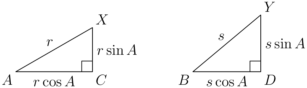 Triangle ACX with hypotenuse labeled with r, short side labeled with r sin A, and long side labeled with r cos A
Triangle BDY with hypothenuse labeled with s, short side labeled with s sin A, and long side labeled with s cos A