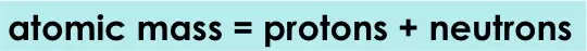 Atomic mass can be calculated by adding the number of protons and the number of neutrons.