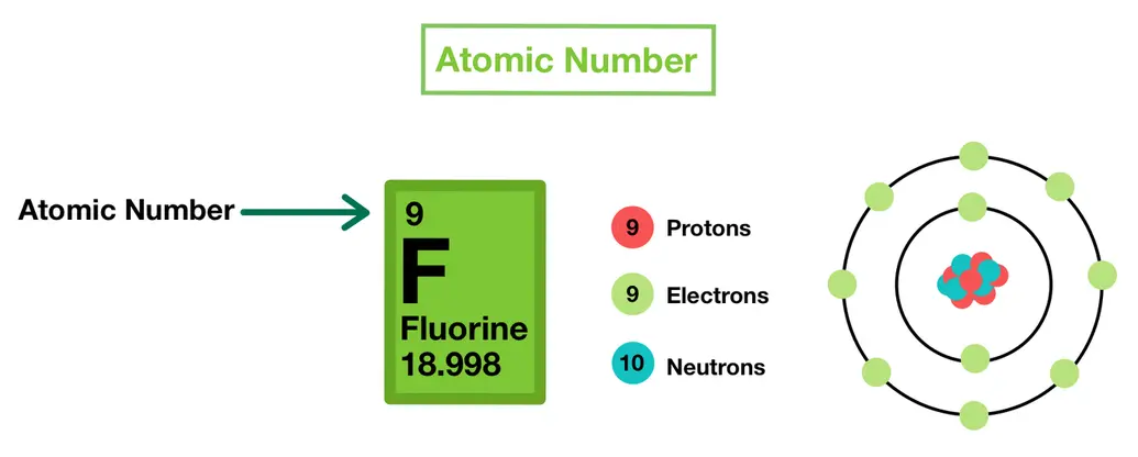 Image showing how the atomic number is also the number of protons in an atom